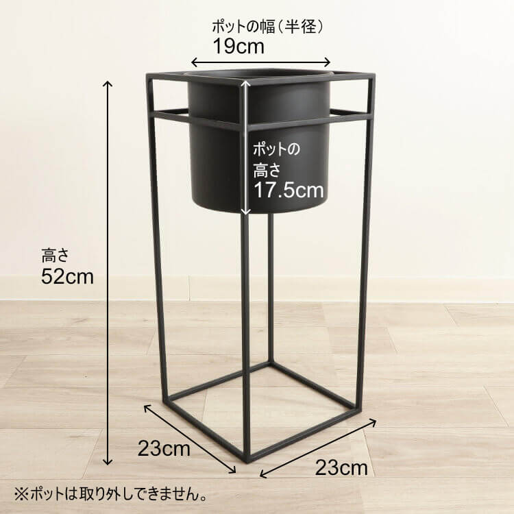 ������ȯ�� ư�褢��ۥե�������� �������� �ץ�󥿡�