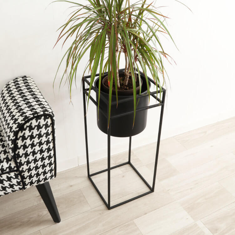 ������ȯ�� ư�褢��ۥե�������� �������� �ץ�󥿡�