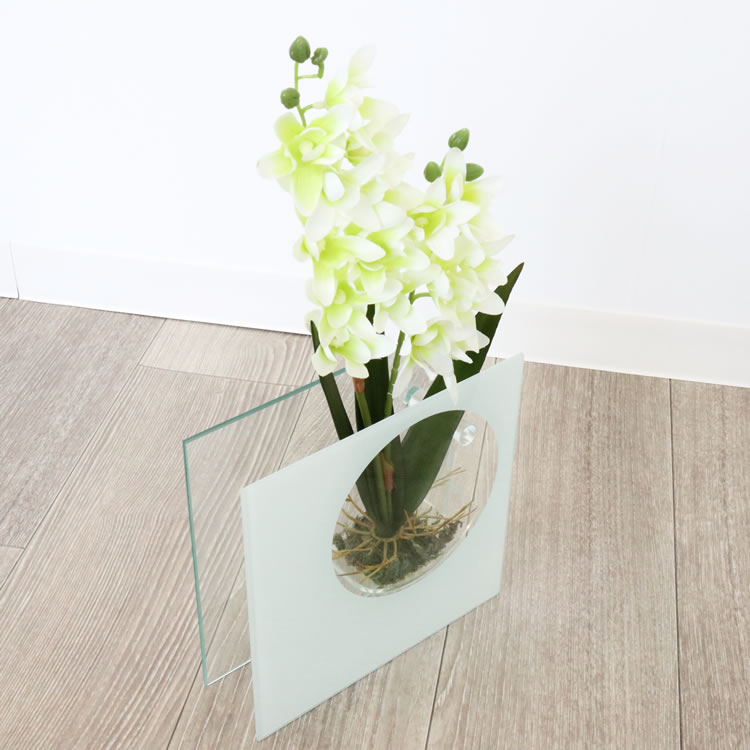 饹١&ե ۥ磻 ⤵20cmäʥƥꥢ͢ߥڸΡ