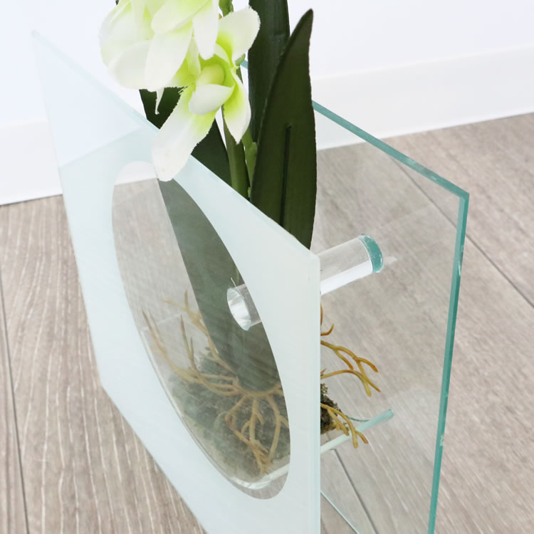 饹١&ե ۥ磻 ⤵20cmäʥƥꥢ͢ߥڸΡ