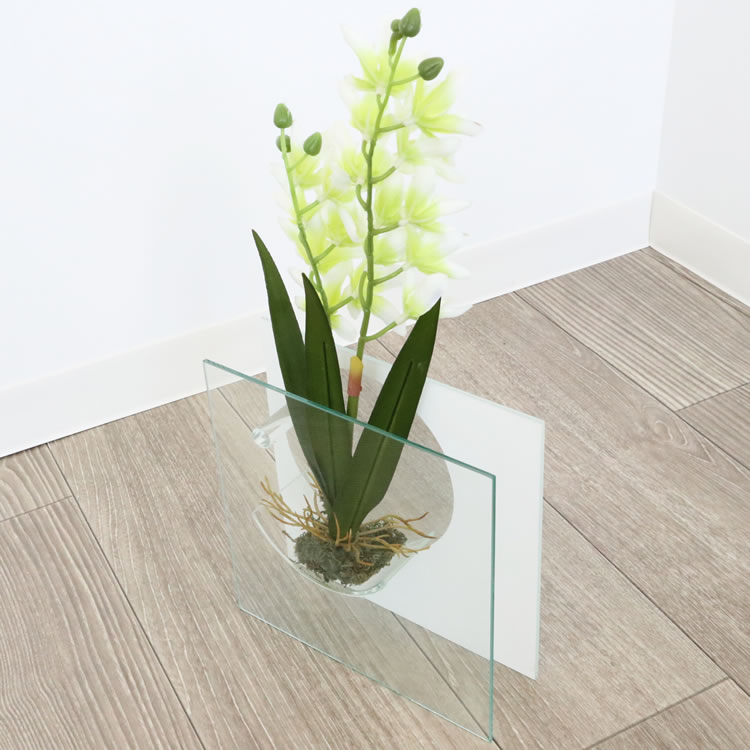 饹١&ե ۥ磻 ⤵20cmäʥƥꥢ͢ߥڸΡ