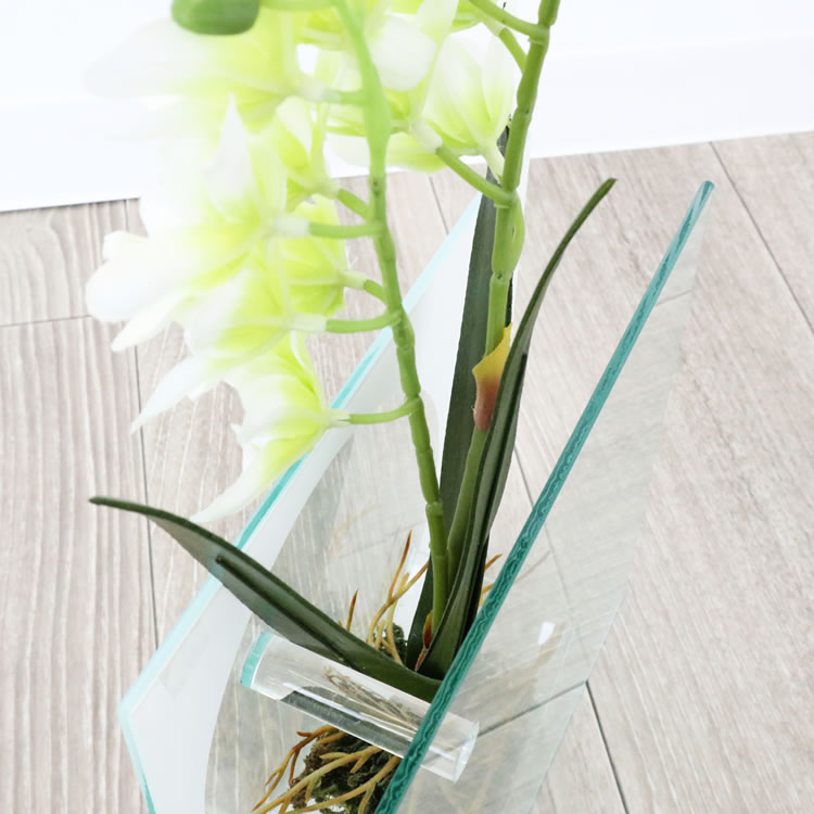 饹١&ե ۥ磻 ⤵20cmäʥƥꥢ͢ߥڸΡ