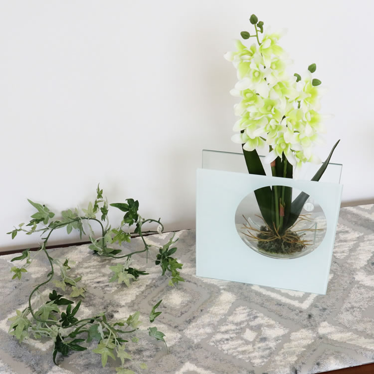 饹١&ե ۥ磻 ⤵20cmäʥƥꥢ͢ߥڸΡ