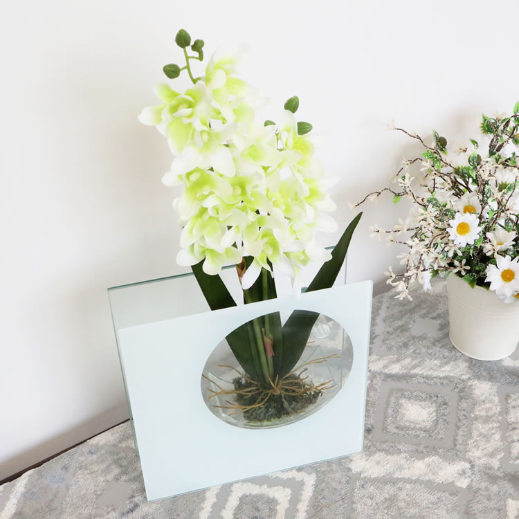 饹١&ե ۥ磻 ⤵20cmäʥƥꥢ͢ߥڸΡ