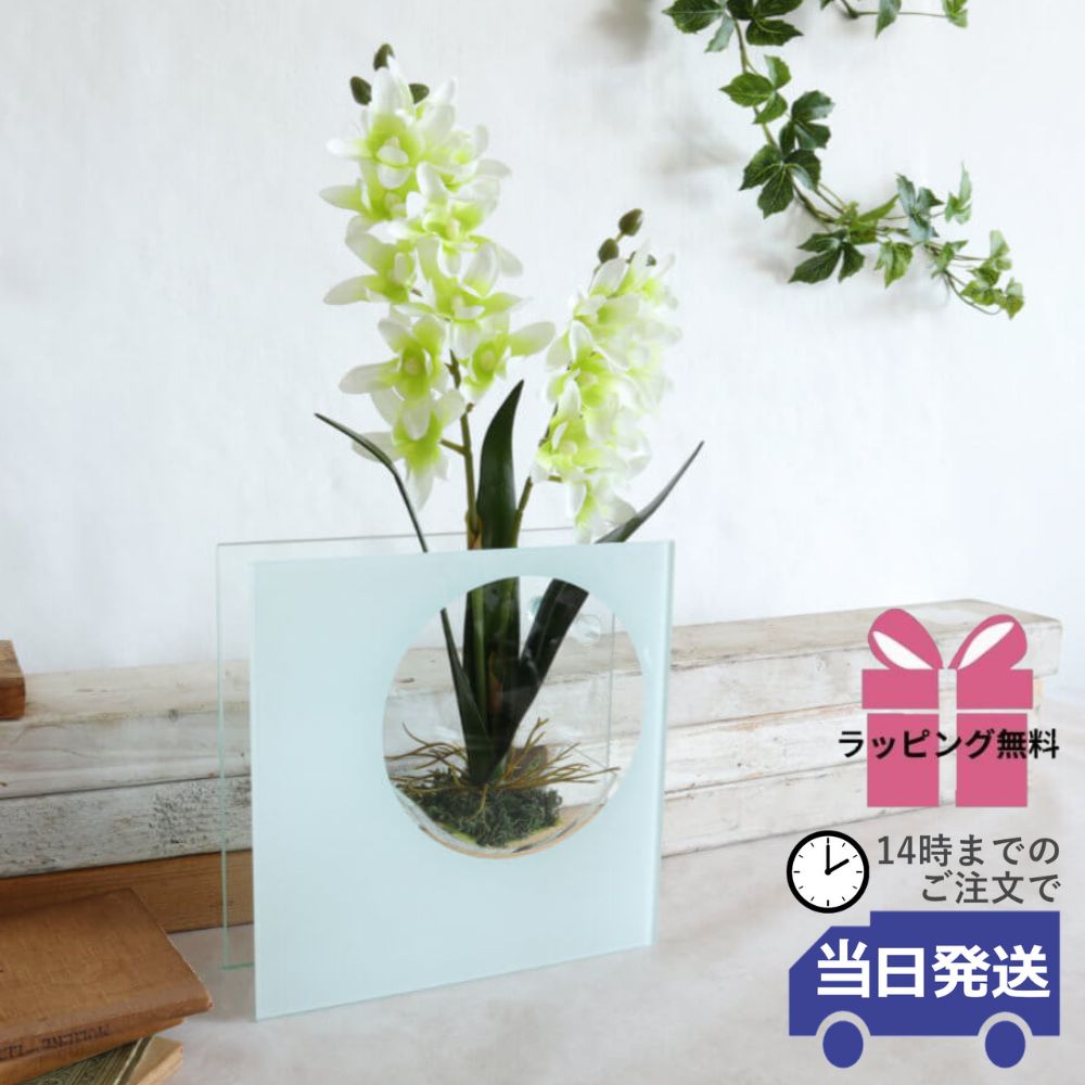 饹١&ե ۥ磻 ⤵20cmäʥƥꥢ͢ߥڸΡ