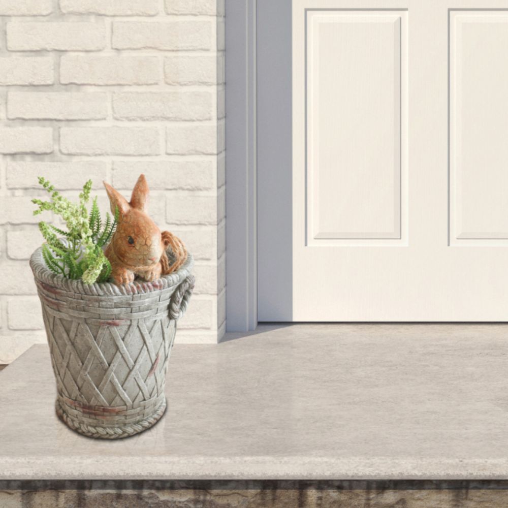 ǥ˥֤ʪ ץ󥿡  ⤵28cmäʥƥꥢ͢ߥڸΡ