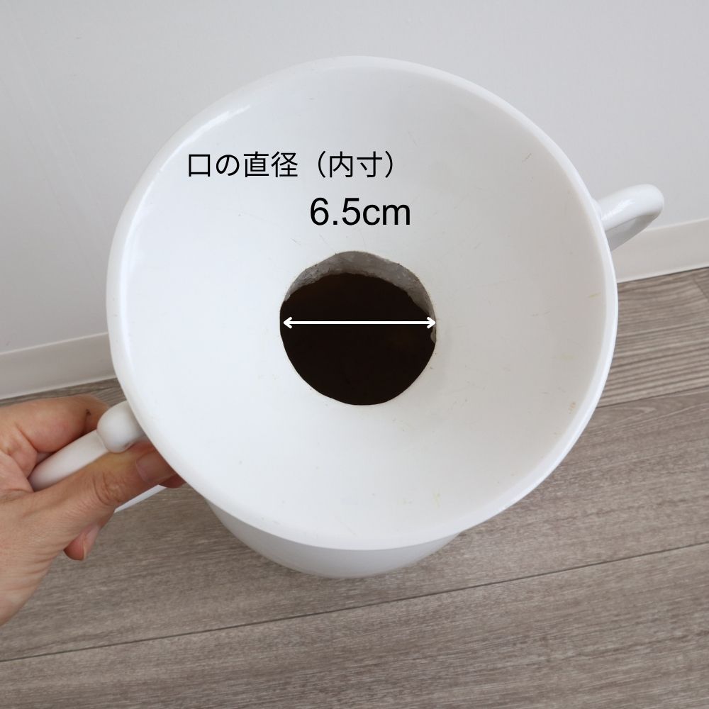 �����ʼ��������� ¤�֥���󥸥����� �⤵39cm�ä������ʥ���ƥꥢ��͢�����ߥ����ڸ������Ρ�