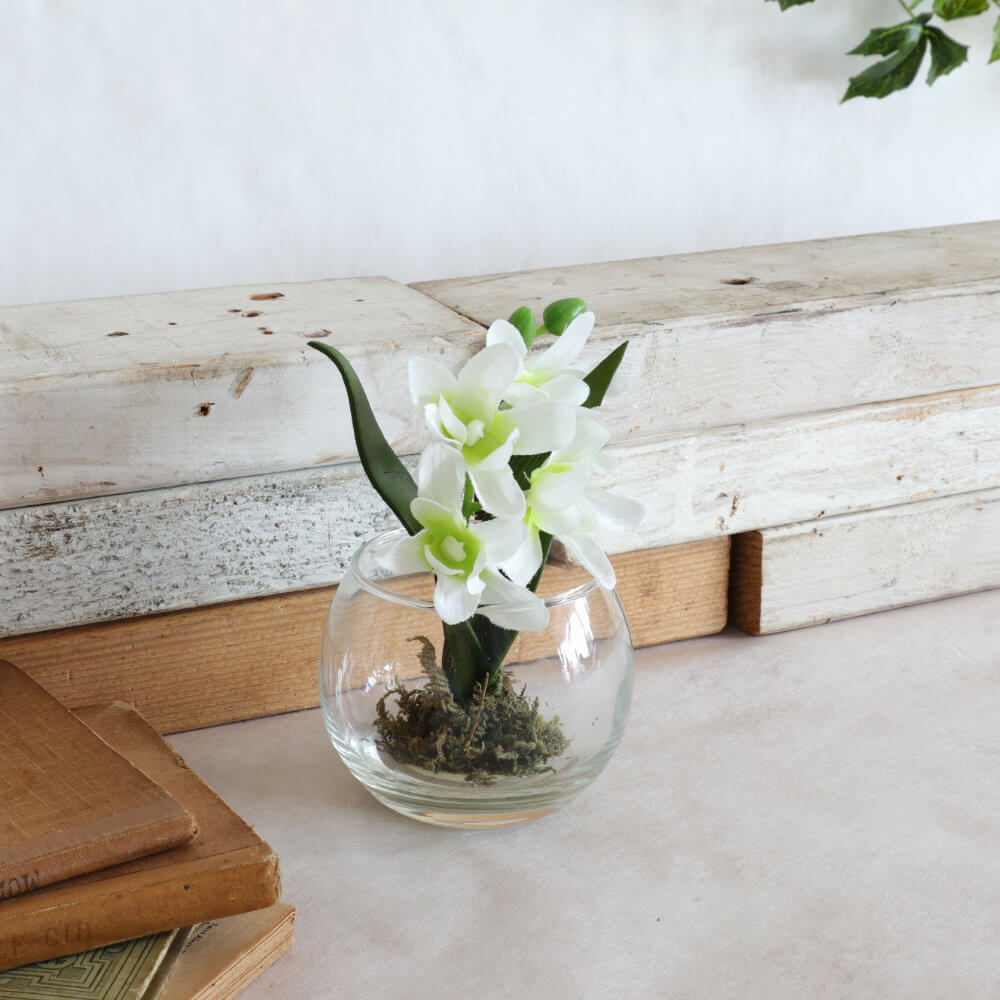 ���饹�١���&�ե� ���ۥ磻�� �⤵9cm�ä������ʥ���ƥꥢ��͢�����ߥ����ڸ������Ρ�