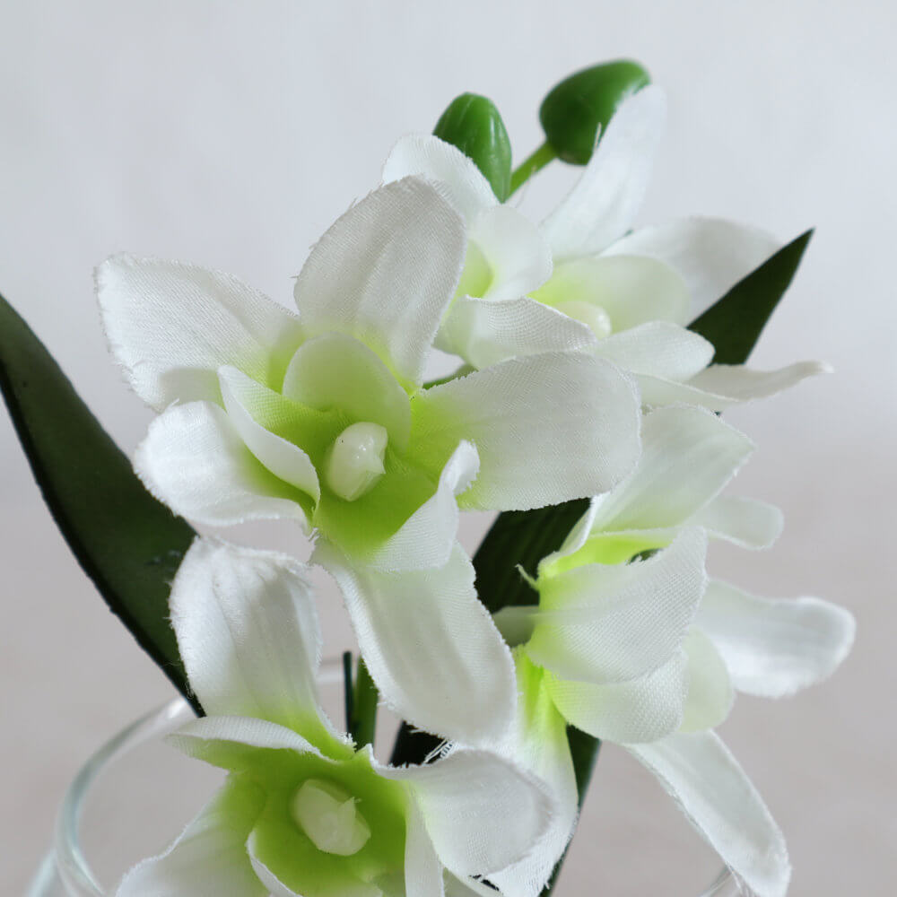 ���饹�١���&�ե� ���ۥ磻�� �⤵9cm�ä������ʥ���ƥꥢ��͢�����ߥ����ڸ������Ρ�