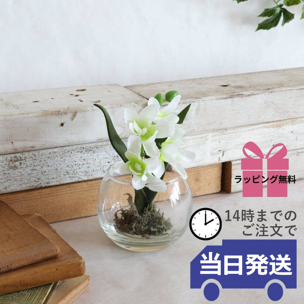 ���饹�١���&�ե� ���ۥ磻�� �⤵9cm�ä������ʥ���ƥꥢ��͢�����ߥ����ڸ������Ρ�