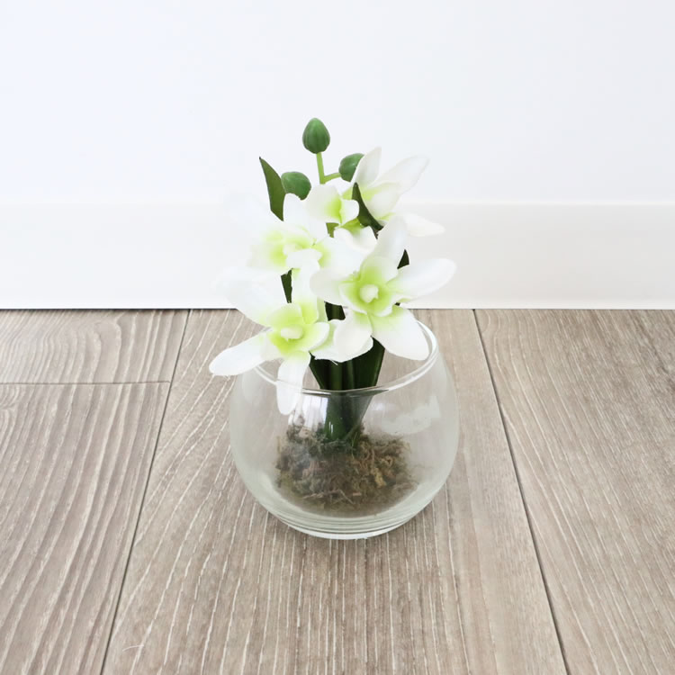 ���饹�١���&�ե� ���ۥ磻�� �⤵9cm�ä������ʥ���ƥꥢ��͢�����ߥ����ڸ������Ρ�