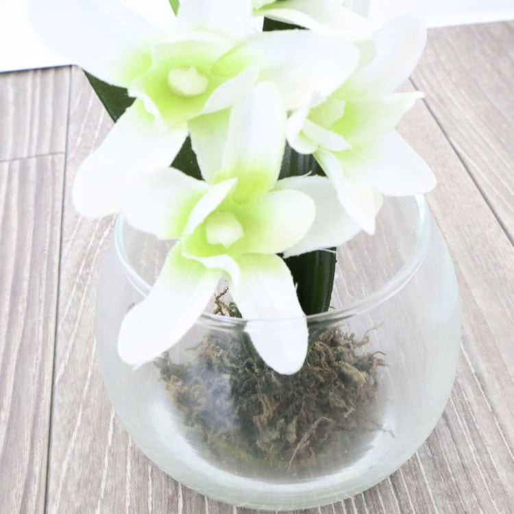 ���饹�١���&�ե� ���ۥ磻�� �⤵9cm�ä������ʥ���ƥꥢ��͢�����ߥ����ڸ������Ρ�