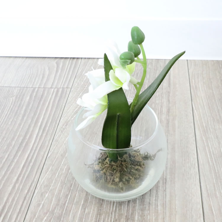 ���饹�١���&�ե� ���ۥ磻�� �⤵9cm�ä������ʥ���ƥꥢ��͢�����ߥ����ڸ������Ρ�