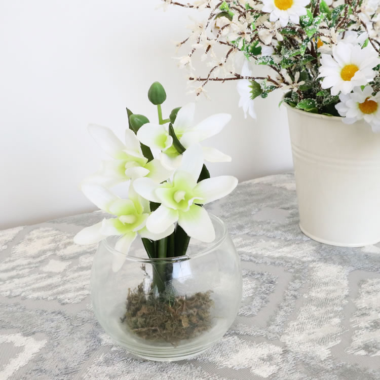 ���饹�١���&�ե� ���ۥ磻�� �⤵9cm�ä������ʥ���ƥꥢ��͢�����ߥ����ڸ������Ρ�