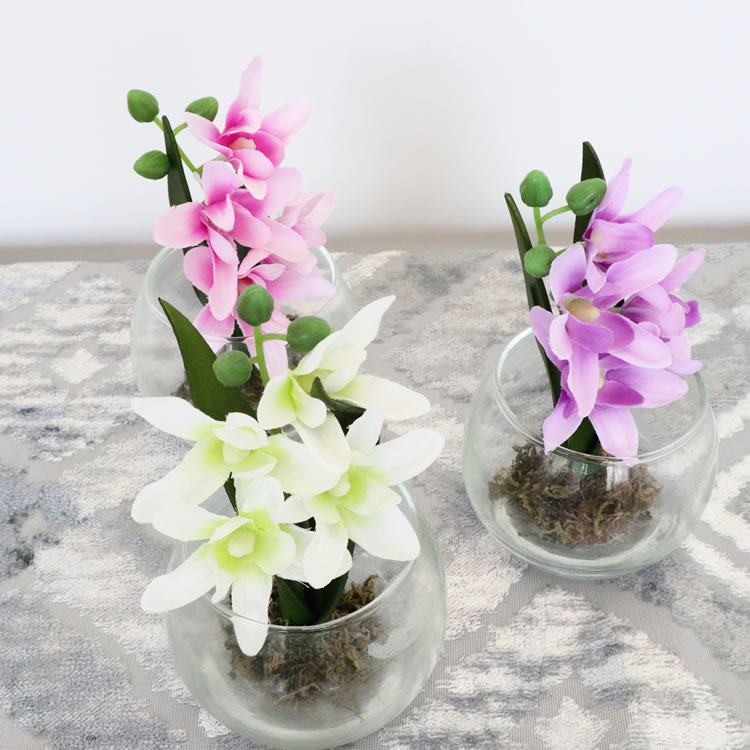 ���饹�١���&�ե� ���ۥ磻�� �⤵9cm�ä������ʥ���ƥꥢ��͢�����ߥ����ڸ������Ρ�