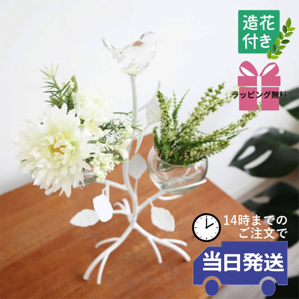 ���������2���饹�ե��١��� ¤���դ��ä������ʥ���ƥꥢ��͢�����ߥ����ڸ������Ρ�