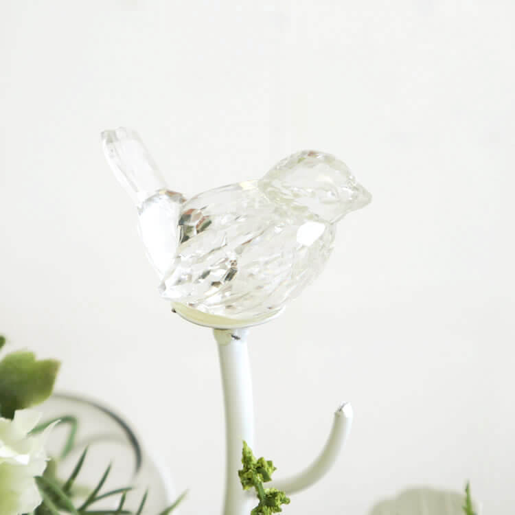 ���������2���饹�ե��١��� ¤���դ��ä������ʥ���ƥꥢ��͢�����ߥ����ڸ������Ρ�