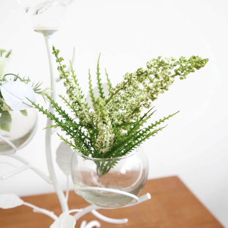 ���������2���饹�ե��١��� ¤���դ��ä������ʥ���ƥꥢ��͢�����ߥ����ڸ������Ρ�