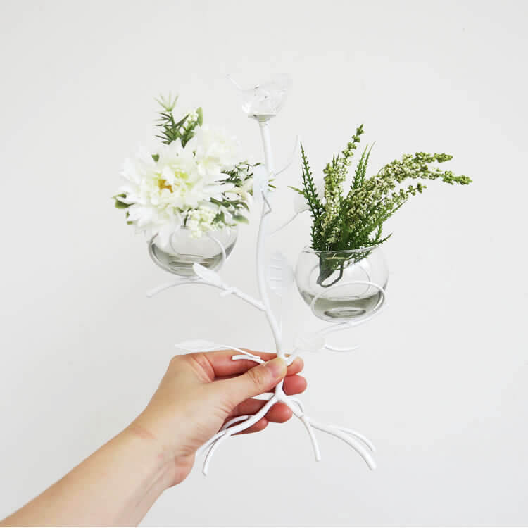 ���������2���饹�ե��١��� ¤���դ��ä������ʥ���ƥꥢ��͢�����ߥ����ڸ������Ρ�