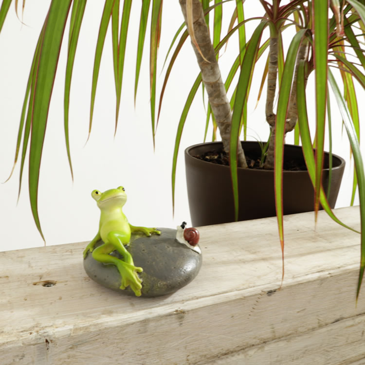 ʪ &ĥ ⤵4.5cmäʥƥꥢ͢ߥڸΡ