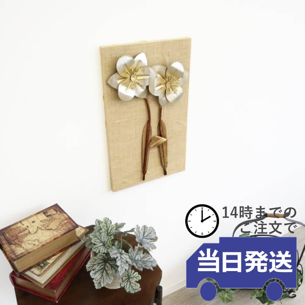 ����ƥꥢ�ɾ��� �ե� ��30cm�߹⤵50cm�ä������ʥ���ƥꥢ��͢�����ߥ����ڸ������Ρ�