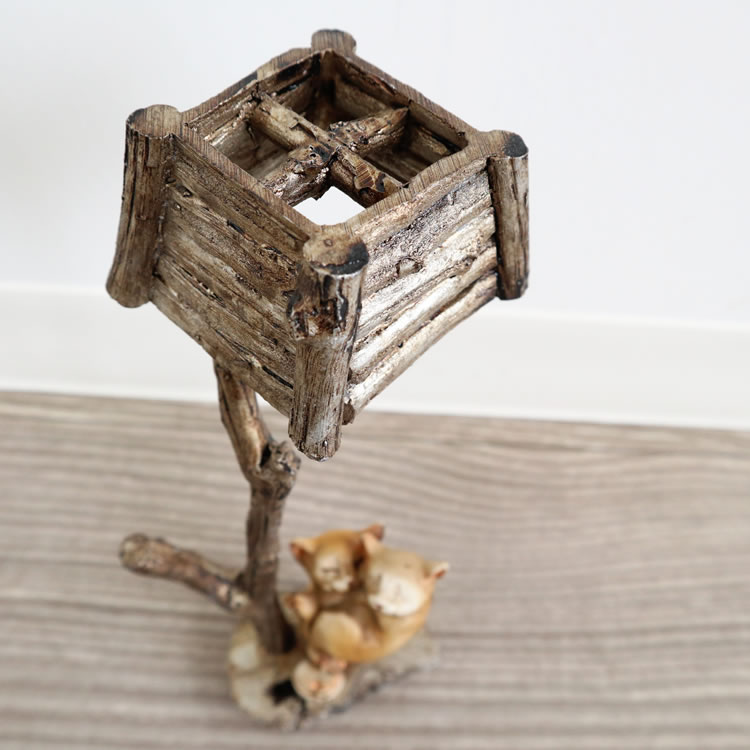 ��ʪ �ͥ��ƻ� �����ʥ��� �⤵20m�ä������ʥ���ƥꥢ��͢�����ߥ����ڸ������Ρ�