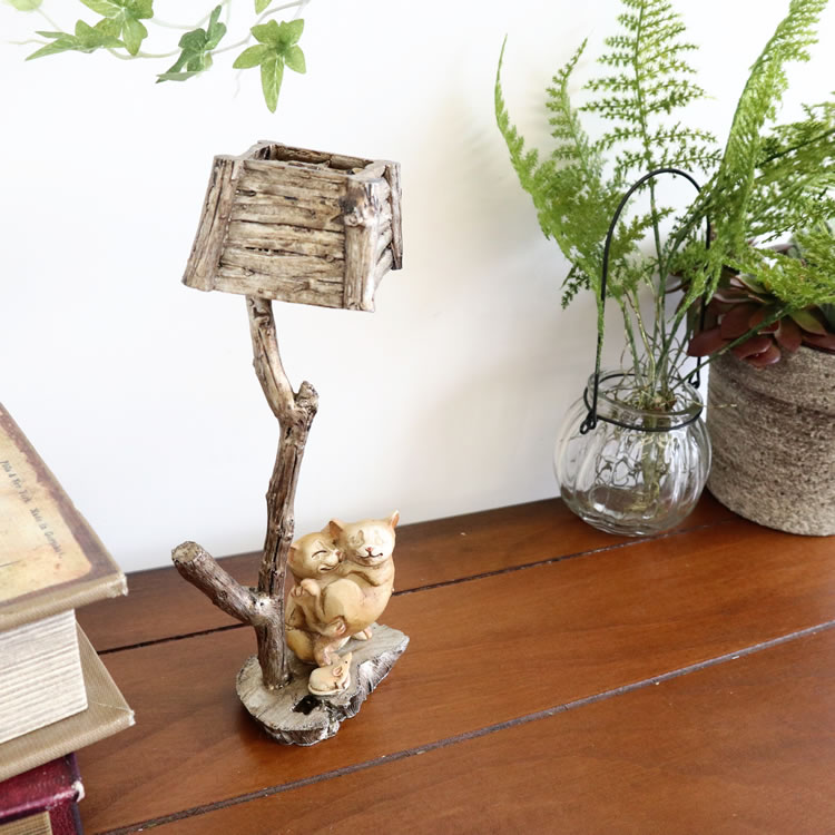 ��ʪ �ͥ��ƻ� �����ʥ��� �⤵20m�ä������ʥ���ƥꥢ��͢�����ߥ����ڸ������Ρ�