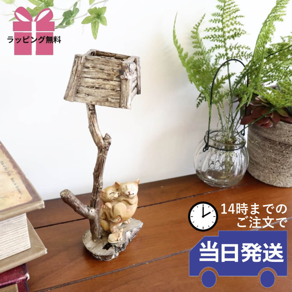 ��ʪ �ͥ��ƻ� �����ʥ��� �⤵20m�ä������ʥ���ƥꥢ��͢�����ߥ����ڸ������Ρ�