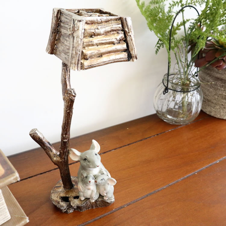 ʪ ͥ߿ƻ ʥ ⤵20cmäʥƥꥢ͢ߥڸΡ