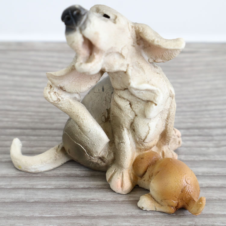 ʪ ̤οƻ ʥ ֥ ⤵8cmäʥƥꥢ͢ߥڸΡ