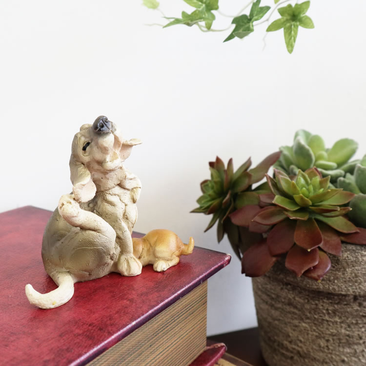 ʪ ̤οƻ ʥ ֥ ⤵8cmäʥƥꥢ͢ߥڸΡ