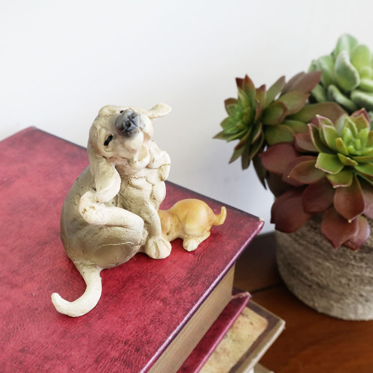 ʪ ̤οƻ ʥ ֥ ⤵8cmäʥƥꥢ͢ߥڸΡ