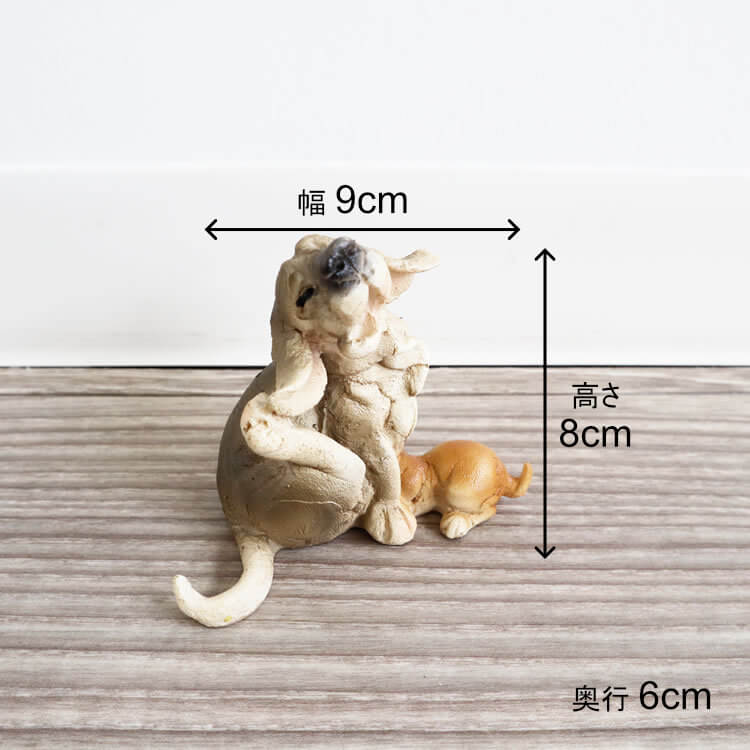 ʪ ̤οƻ ʥ ֥ ⤵8cmäʥƥꥢ͢ߥڸΡ