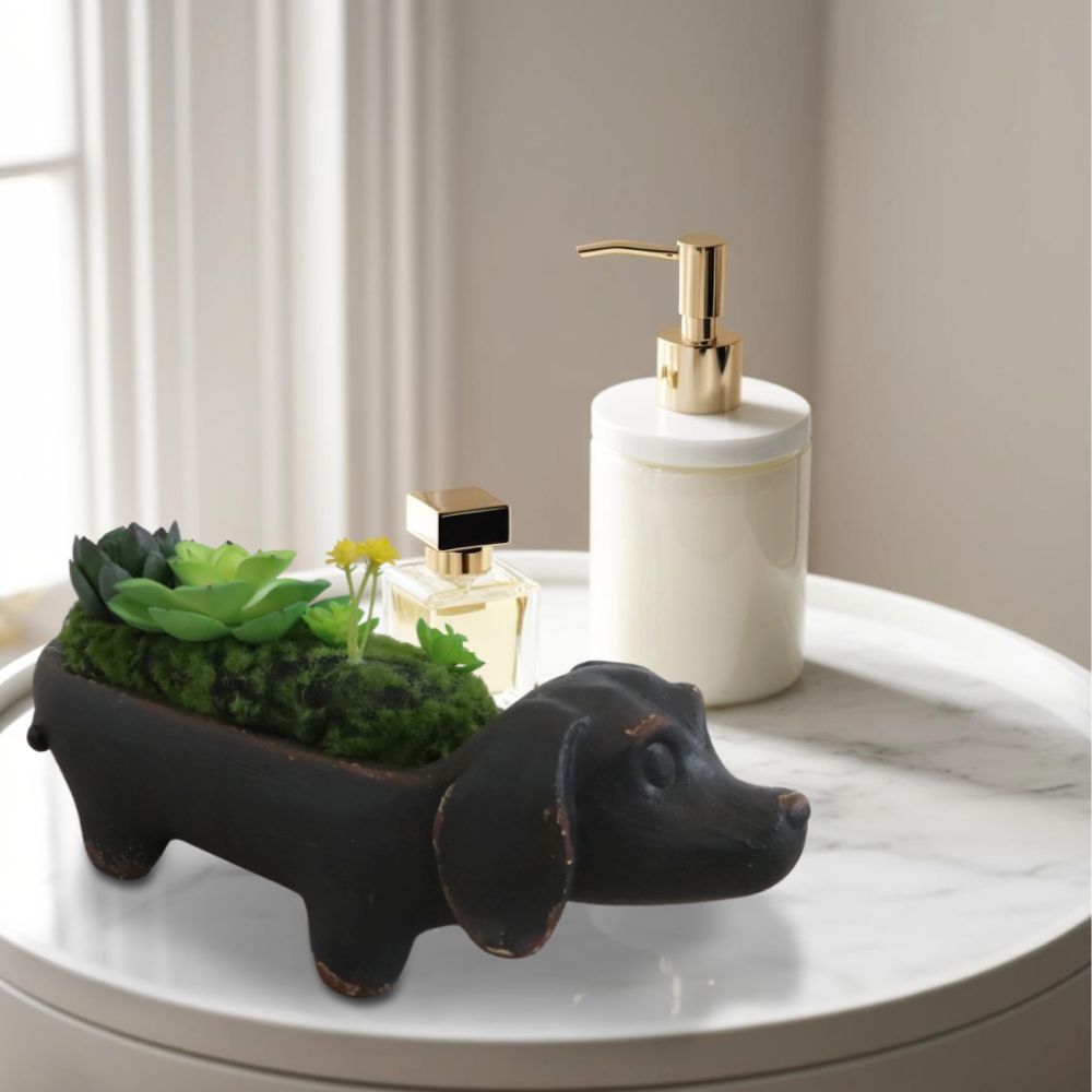 ��ʪ ���å����ե�� ���� �⤵9cm�ä������ʥ���ƥꥢ��͢�����ߥ����ڸ������Ρ�