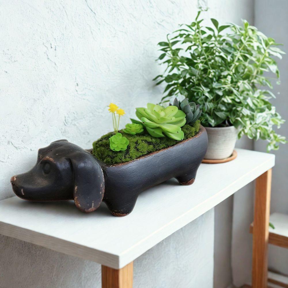 ��ʪ ���å����ե�� ���� �⤵9cm�ä������ʥ���ƥꥢ��͢�����ߥ����ڸ������Ρ�