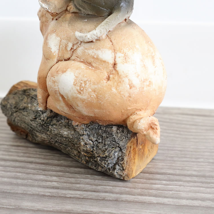 ʪ ֥&ͥ ֥ ⤵11cmäʥƥꥢ͢ߥڸΡ