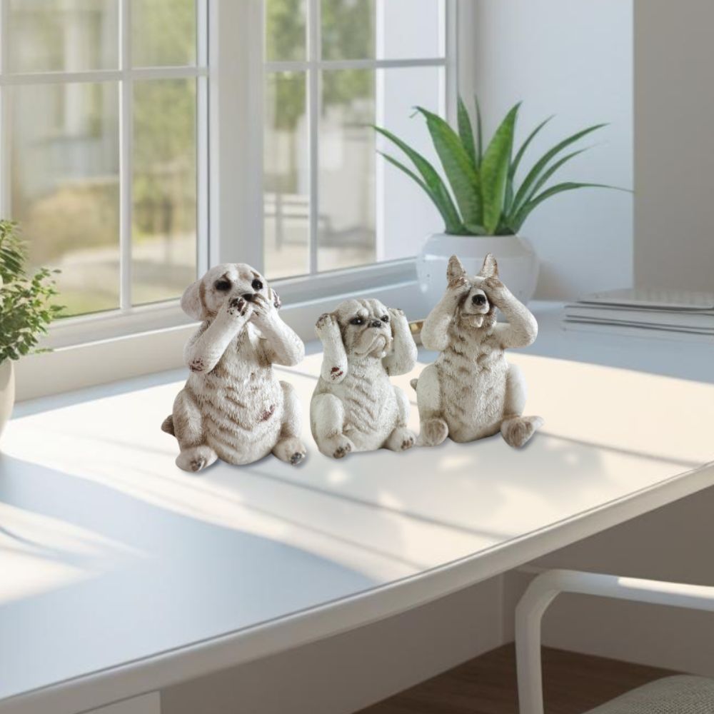 ʪ 3ɤΥ ʥ ֥ ⤵12cmäʥƥꥢ͢ߥڸΡ