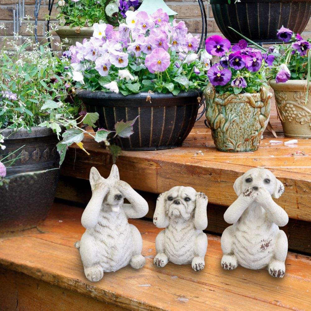 ʪ 3ɤΥ ʥ ֥ ⤵12cmäʥƥꥢ͢ߥڸΡ