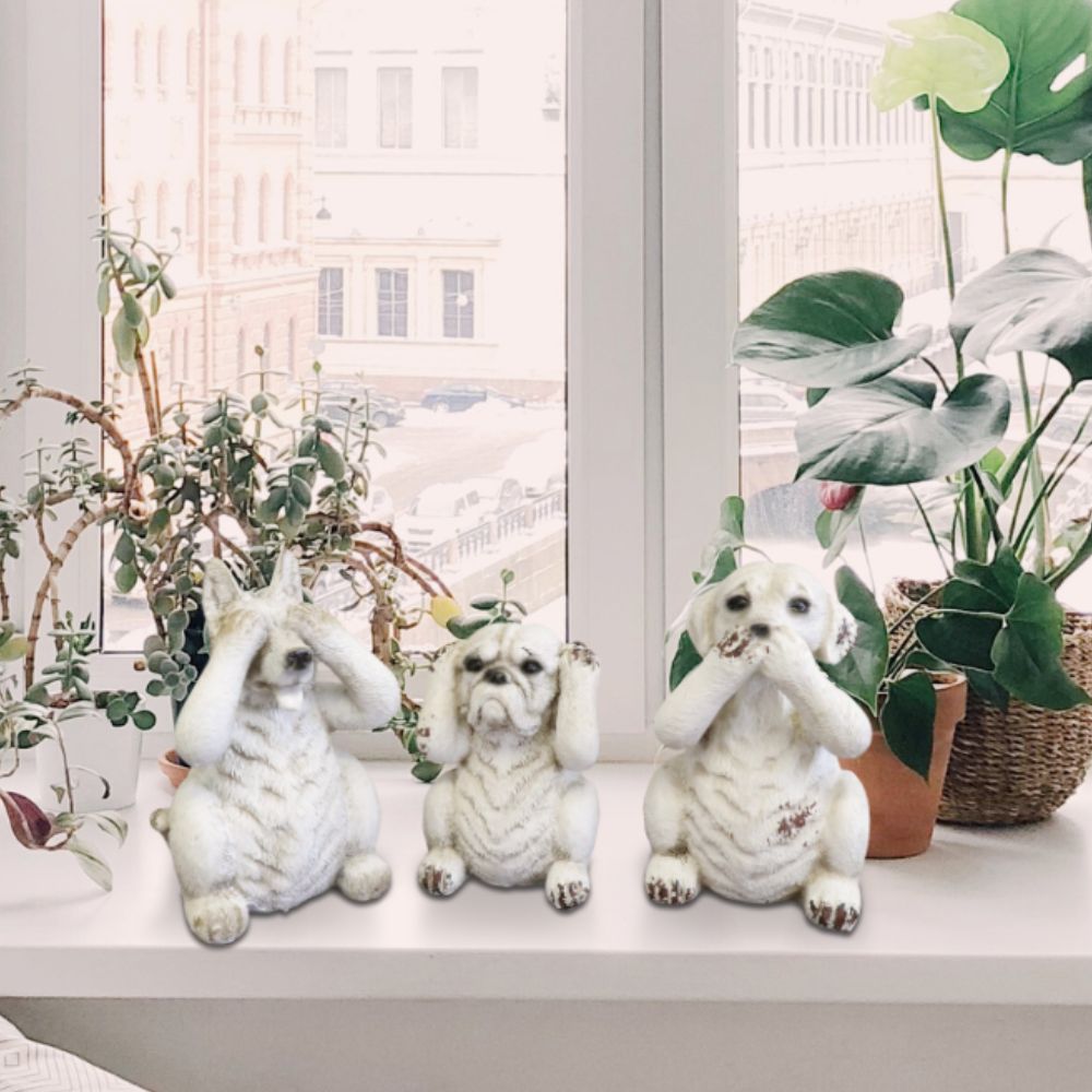 ʪ 3ɤΥ ʥ ֥ ⤵12cmäʥƥꥢ͢ߥڸΡ