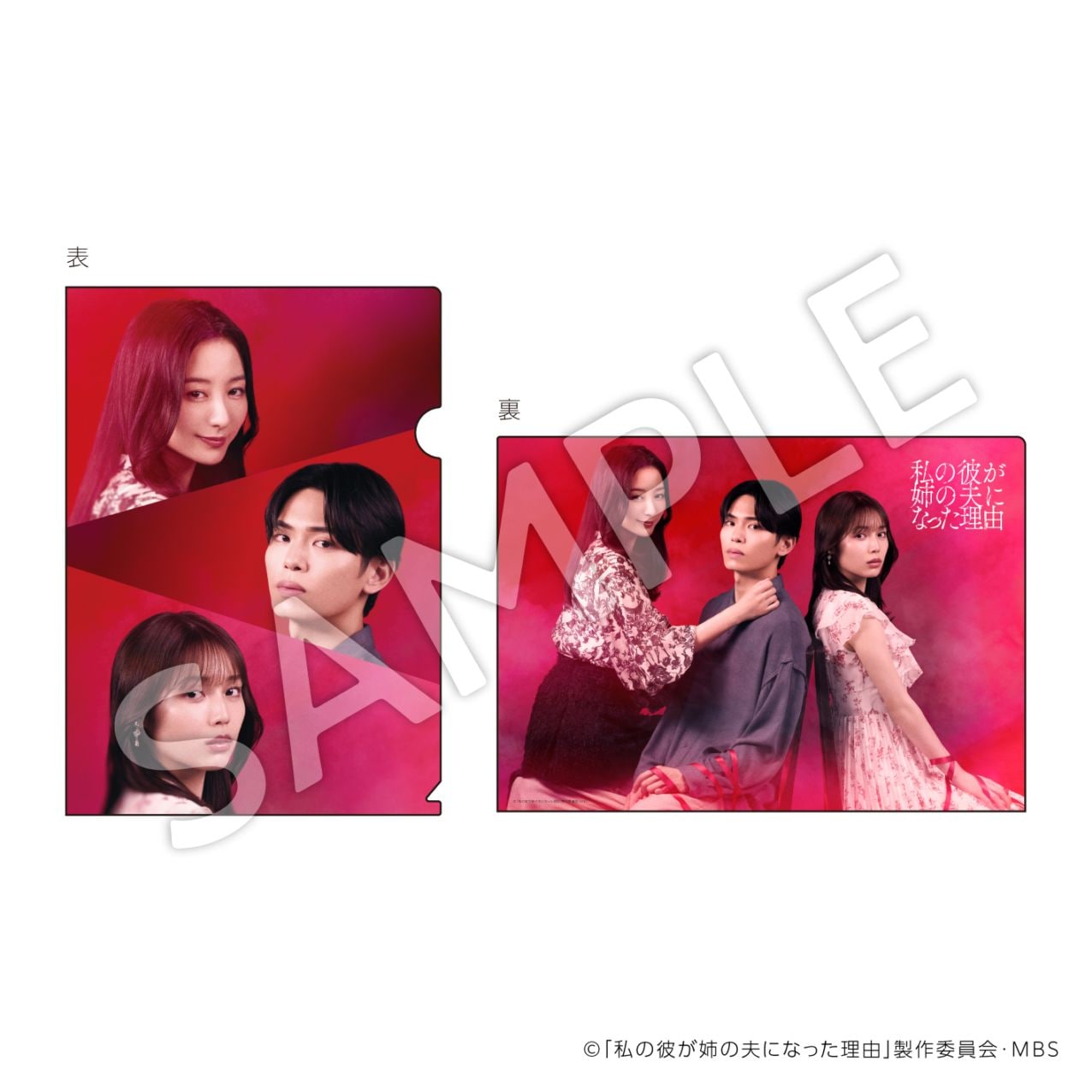 【お届け予定：2025年11月末頃】私の彼が姉の夫になった理由    クリアファイル