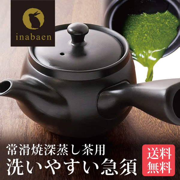 急須 常滑焼 深蒸し茶 急須 茶が楽 chagara 380cc IB ティーポット 便利