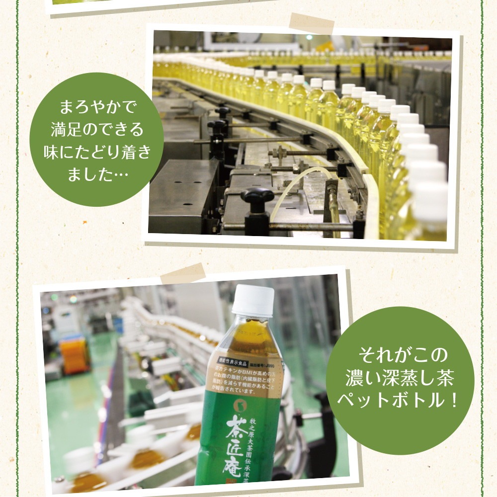 【機能性表示食品】 茶匠庵 緑茶ペットボトル 500ml×24本