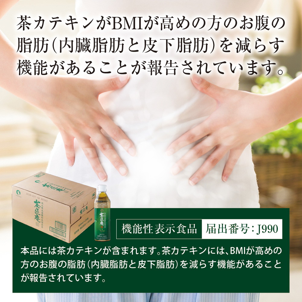【機能性表示食品】 茶匠庵 緑茶ペットボトル 500ml×24本