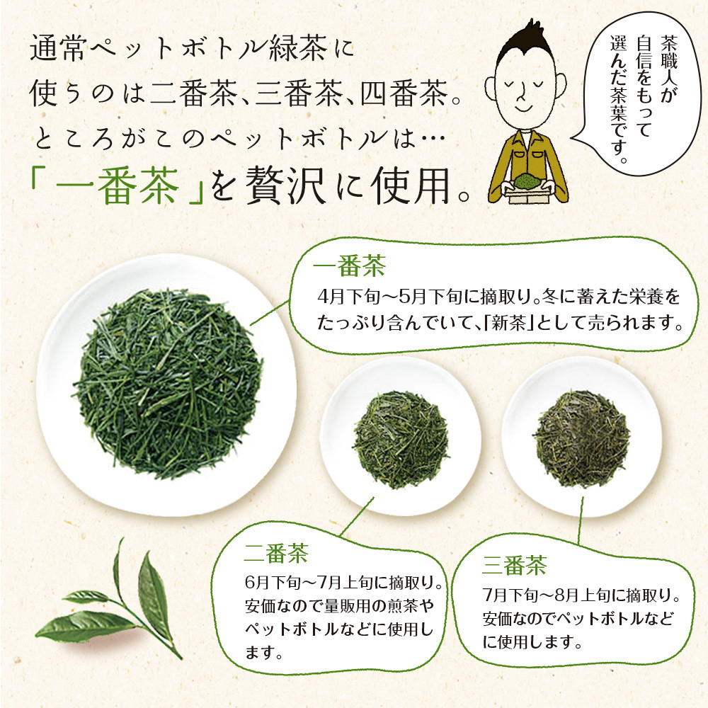 【機能性表示食品】 茶匠庵 緑茶ペットボトル 500ml×24本