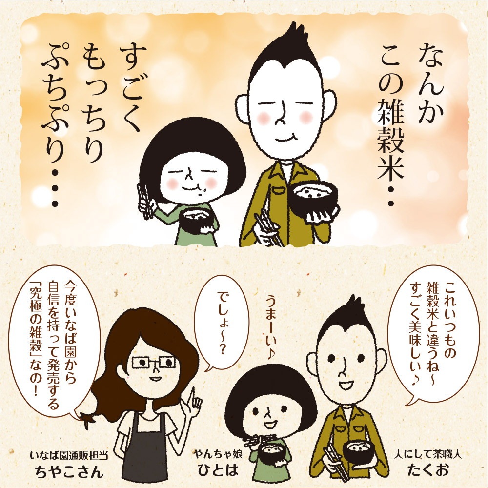 【2個セット】にっぽんの二十五穀 450g メール便