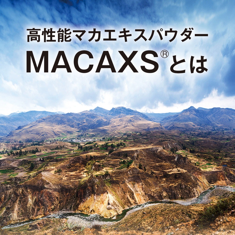 マカゼウス 60粒 約一か月分 メール便