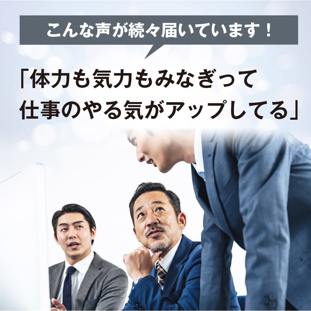 マカゼウス 60粒 約一か月分 メール便