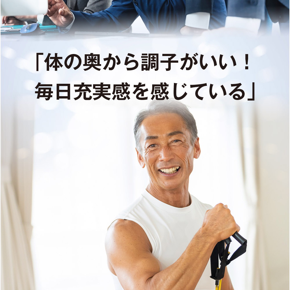マカゼウス 60粒 約一か月分 メール便