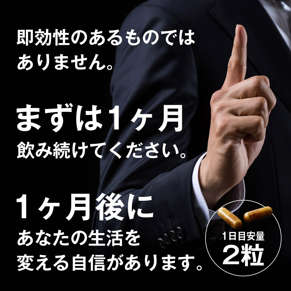 マカゼウス 60粒 約一か月分 メール便