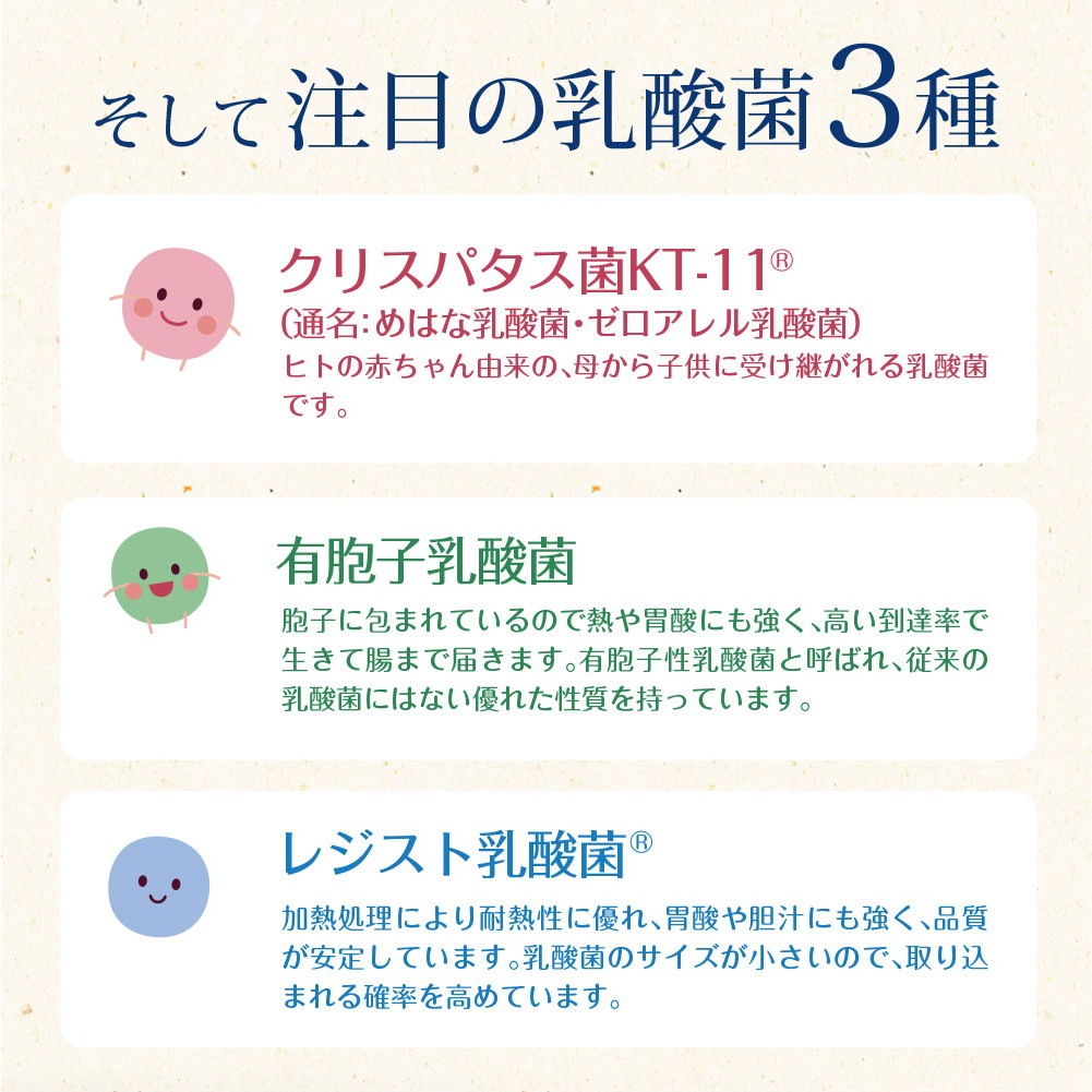 33種の乳酸菌 30包入り メール便